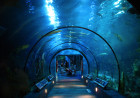 Moody Gardens Aquarium Moody Gardens Aquarium